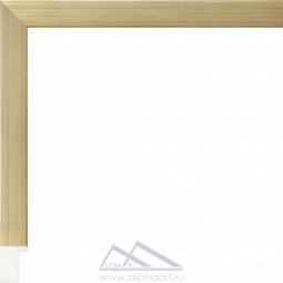 Багет PS0562-02 20*27 мм
