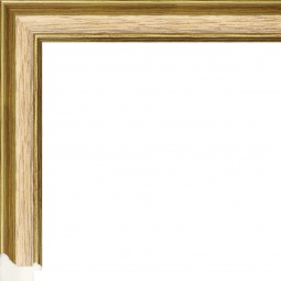 Багет PS0630-58 31*19 мм