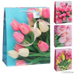 Пакет 1201-1 (17х24х8)