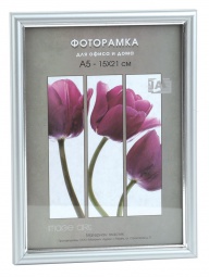 Interior Office 590 15*20 серебро