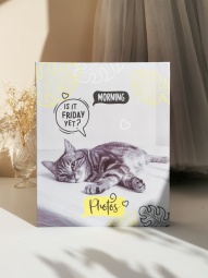 FA 10*15/200 пластик. л. клепки, fluffy pets Муррр