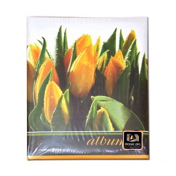 IA 10х15/200 005 цветы