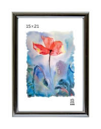 Рамка пластик 15*21  серебро 513