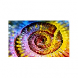 Модульная картина 50*70 Е1132 (1)