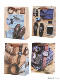 Пакет 24813S (18х24х8,5)